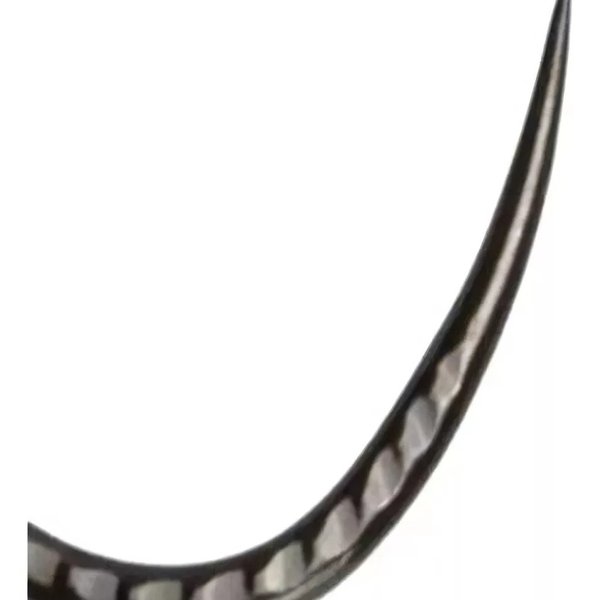 Anzol Chinu Sure Kirin Black Nickel Albatroz